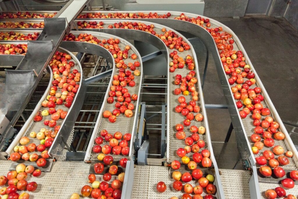 State-of-the-Art Harvest Storage
 

Utilizing advanced storage tech, we keep apples fresh and control market supply.


Read More