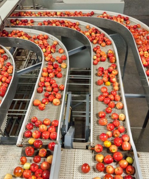 State-of-the-Art Harvest Storage
 

Utilizing advanced storage tech, we keep apples fresh and control market supply.


Read More